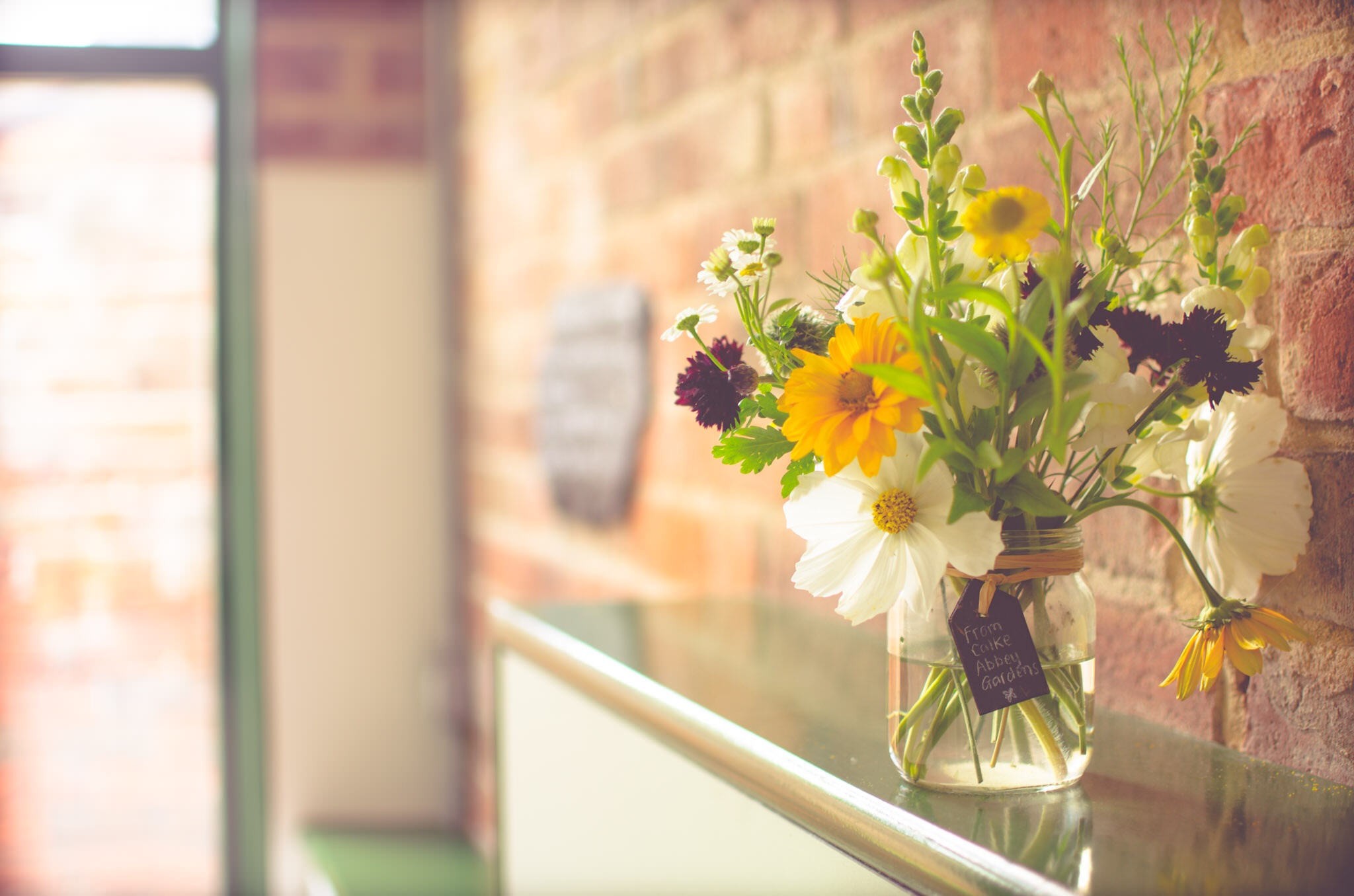 flowers, Vases, Plants, Colorful Wallpaper