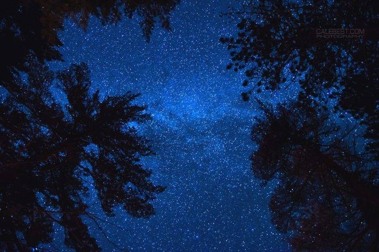 Algonquin Provincial Park, Stars, Sky, Trees HD Wallpaper Desktop Background