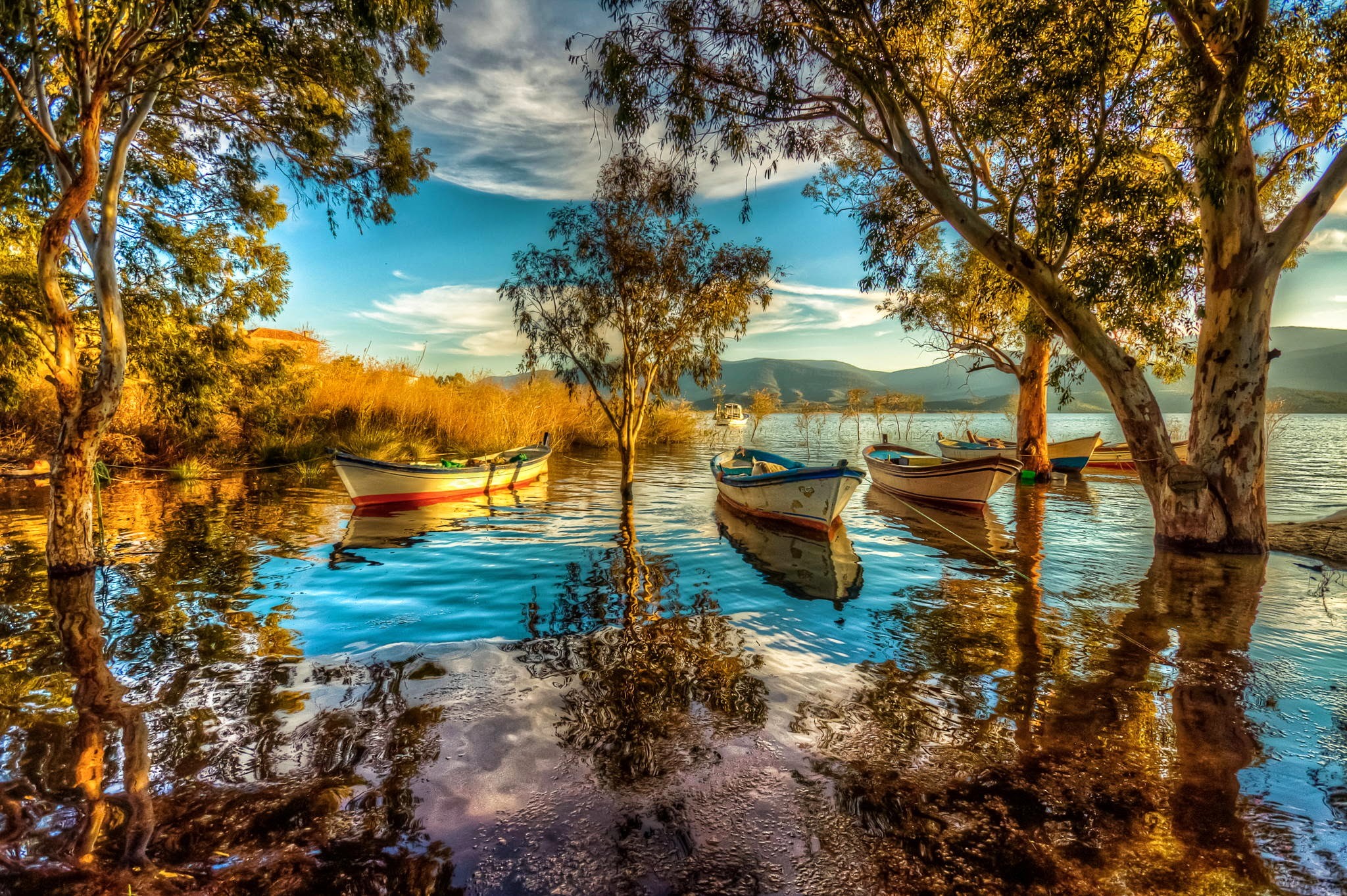 nature, Lake, Boat Wallpaper