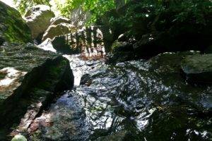 nature, Water, Rocks, Green, Stream