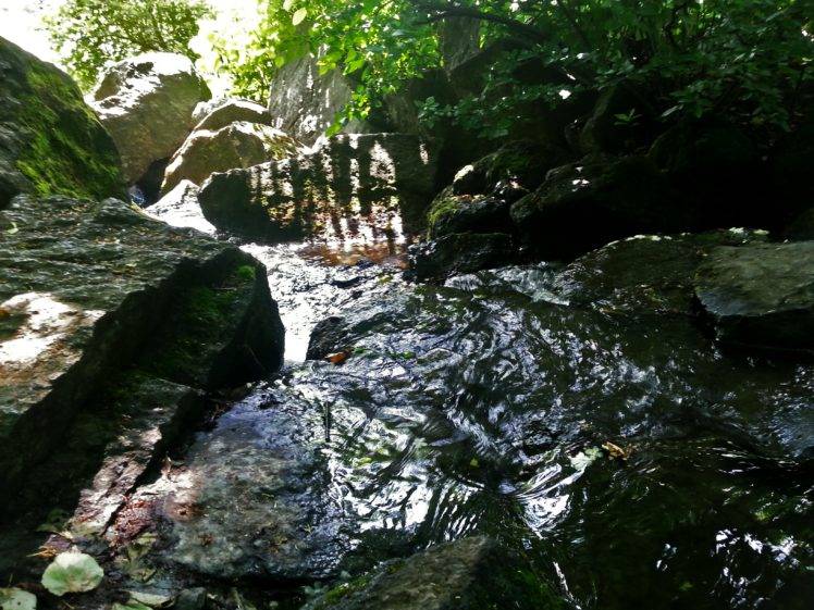 nature, Water, Rocks, Green, Stream HD Wallpaper Desktop Background