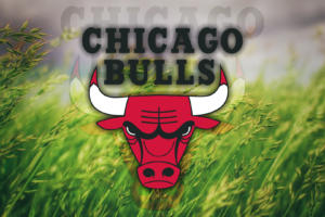 Chicago Bulls, Grass, Logo