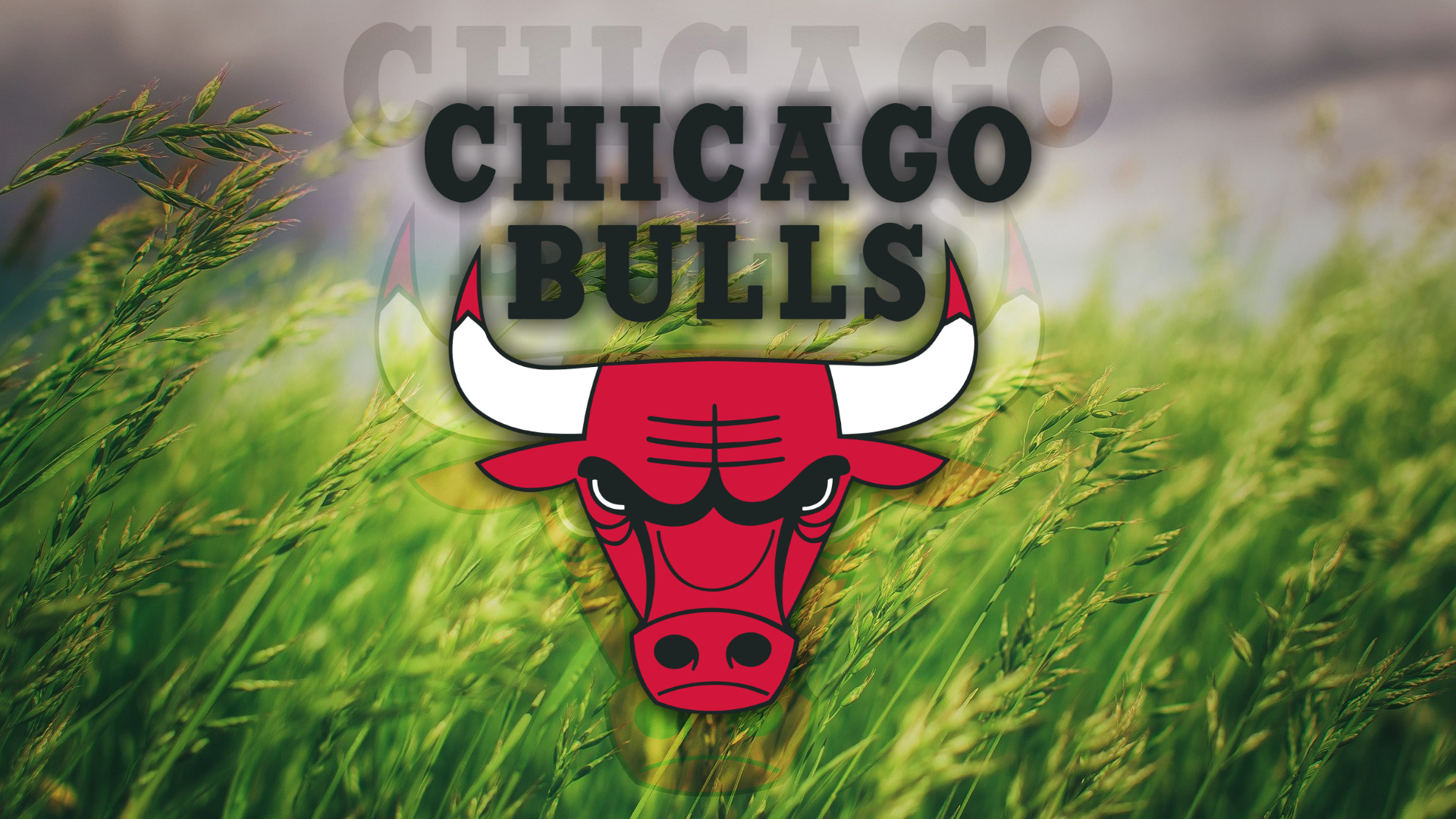 Chicago Bulls, Grass, Logo Wallpaper