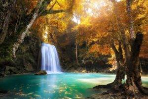 waterfall, Nature, Trees