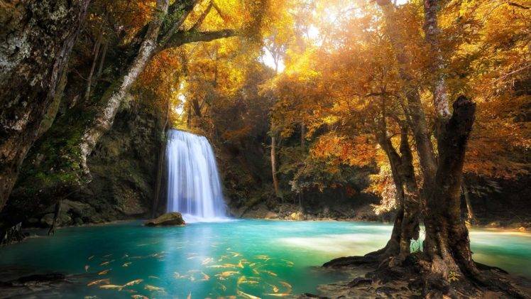 waterfall, Nature, Trees HD Wallpaper Desktop Background