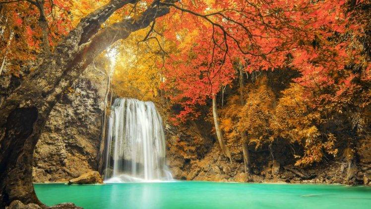 nature, Trees, Water, Waterfall HD Wallpaper Desktop Background