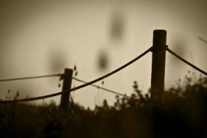 photography, Nature, Fence, Wood, Grass, Plants, Sepia, Cords, Blurred