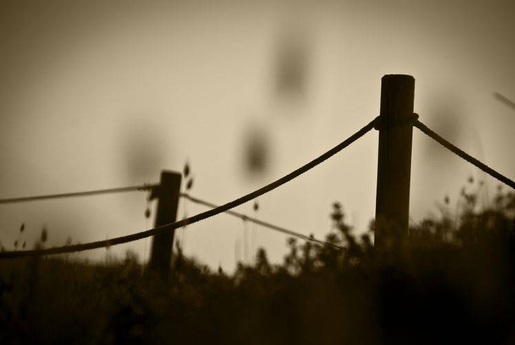 photography, Nature, Fence, Wood, Grass, Plants, Sepia, Cords, Blurred HD Wallpaper Desktop Background