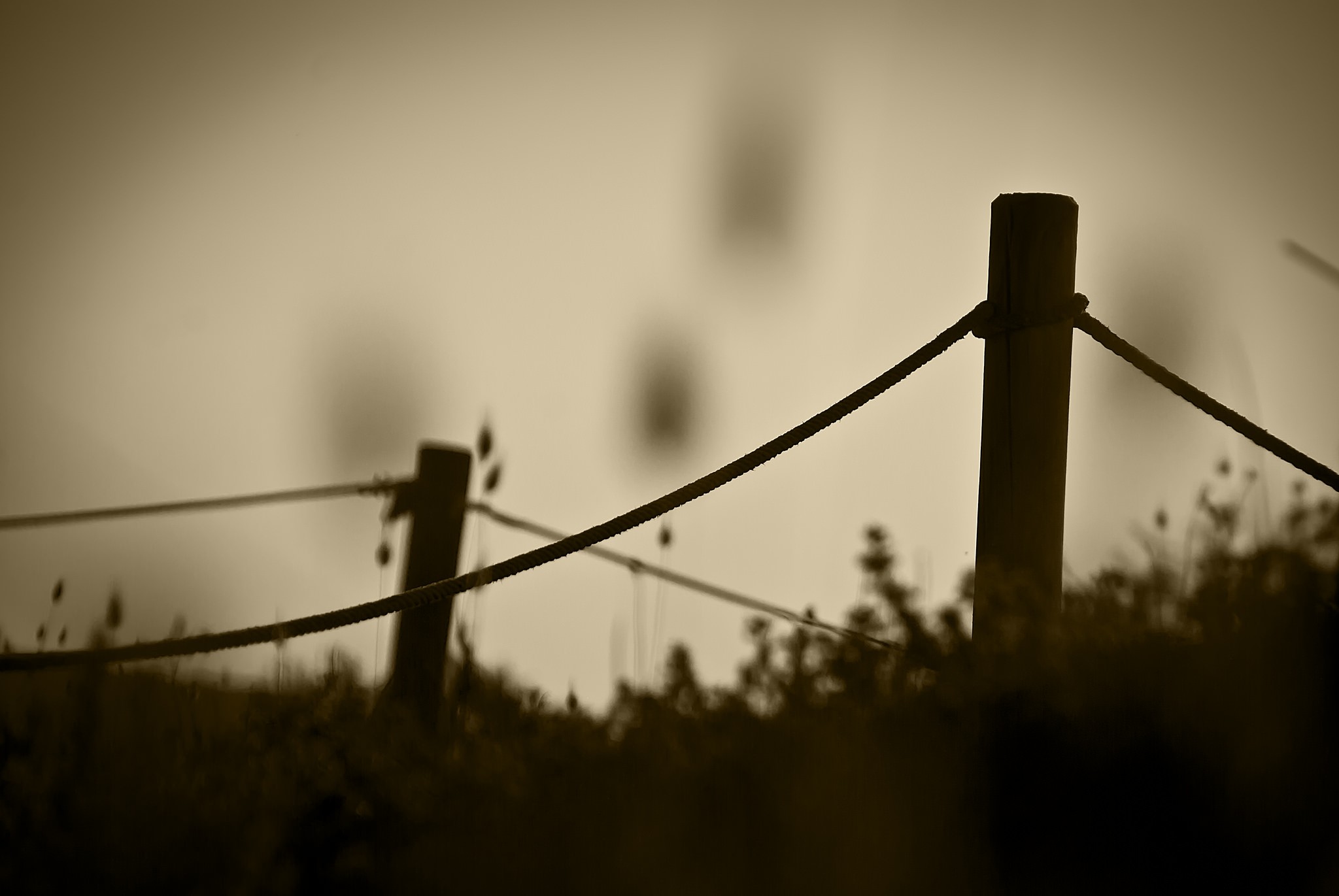 photography, Nature, Fence, Wood, Grass, Plants, Sepia, Cords, Blurred Wallpaper