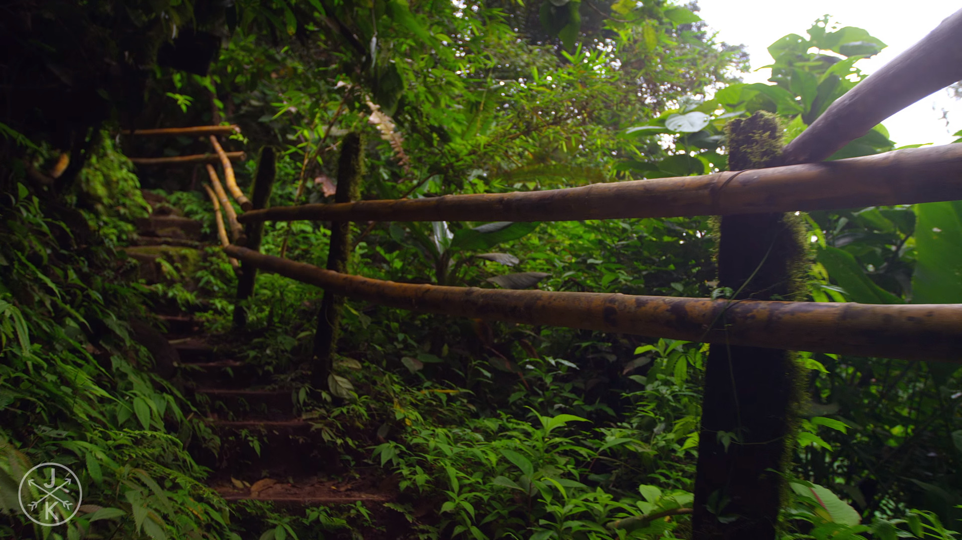 nature, Serpent, Green, Red, Plants, Stairs, Path Wallpaper