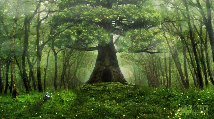 Zelda, Forest, The Legend of Zelda, Trees, Green, Nintendo HD Wallpaper Desktop Background