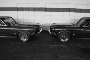 Mustang Standoff, Monochrome, Vehicle, Car
