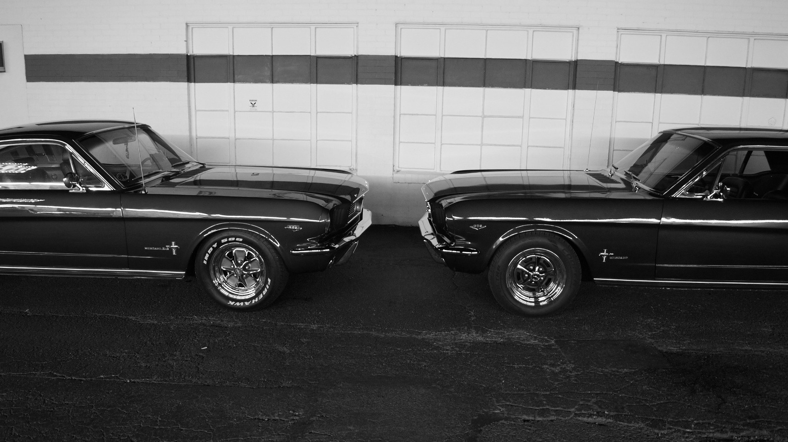Mustang Standoff, Monochrome, Vehicle, Car Wallpaper