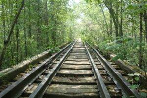 nature, Path, Railroad track, Forest