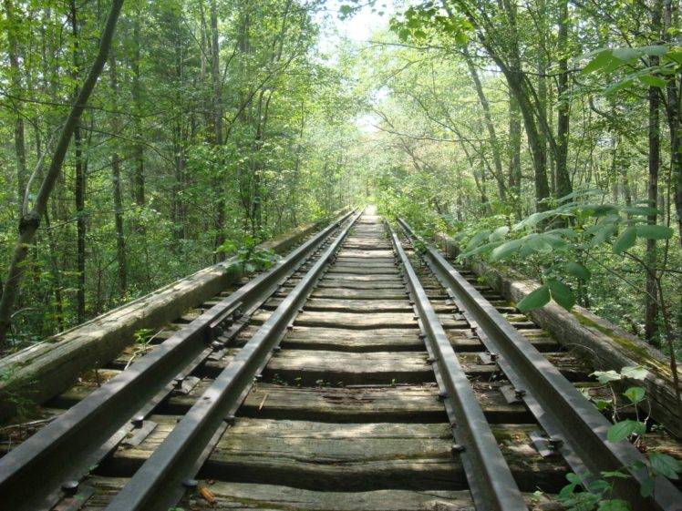 nature, Path, Railroad track, Forest HD Wallpaper Desktop Background