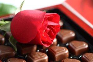 rose, Chocolate, Food, Flowers