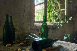 ruin, Bottles, Plants, Room, Window