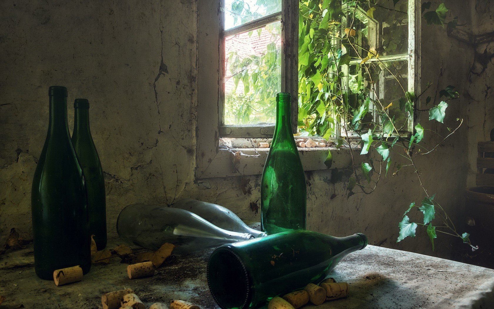 ruin, Bottles, Plants, Room, Window Wallpaper