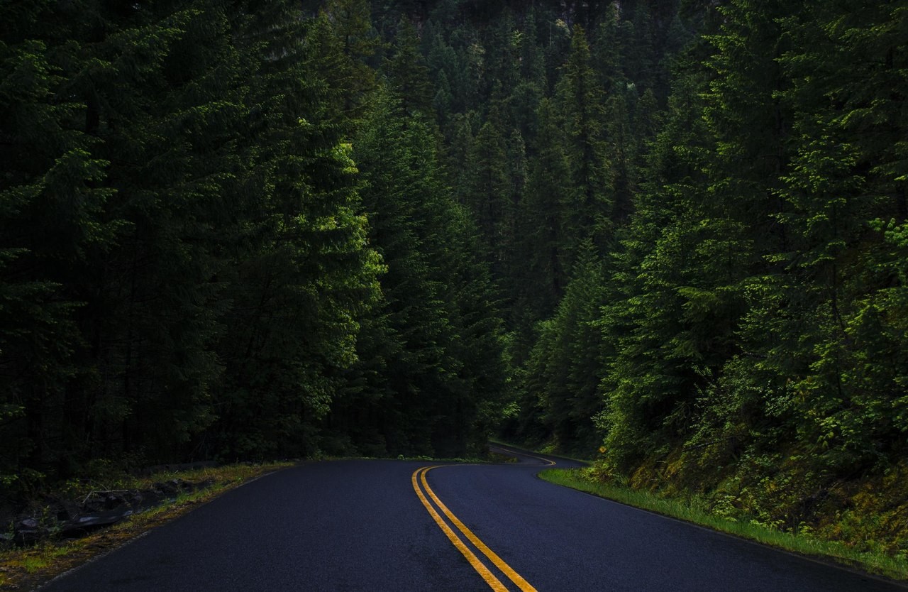 nature, Road, Forest