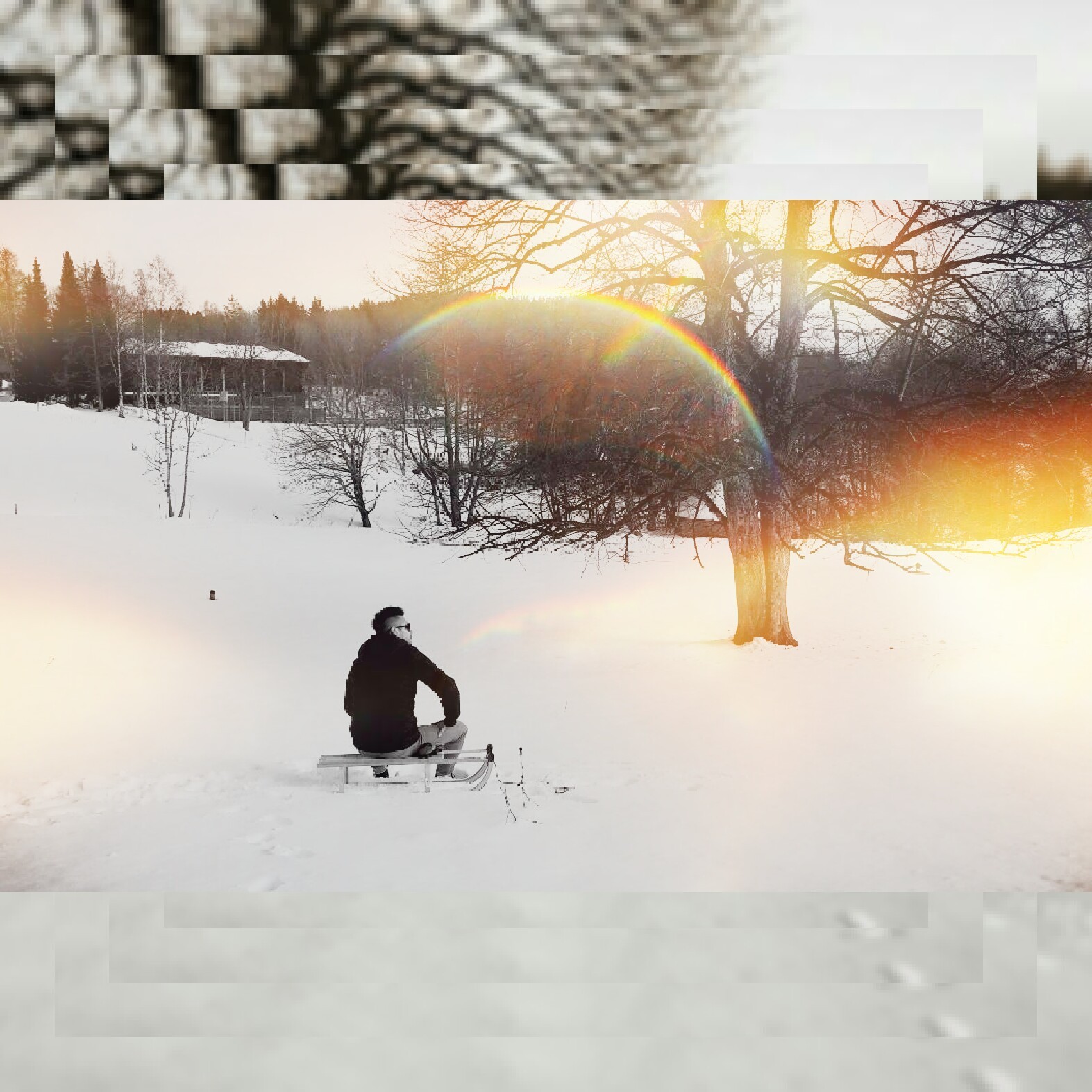 snow is, Abby Winters, Snow, Winter, Sun, Suns, Carriage Wallpaper