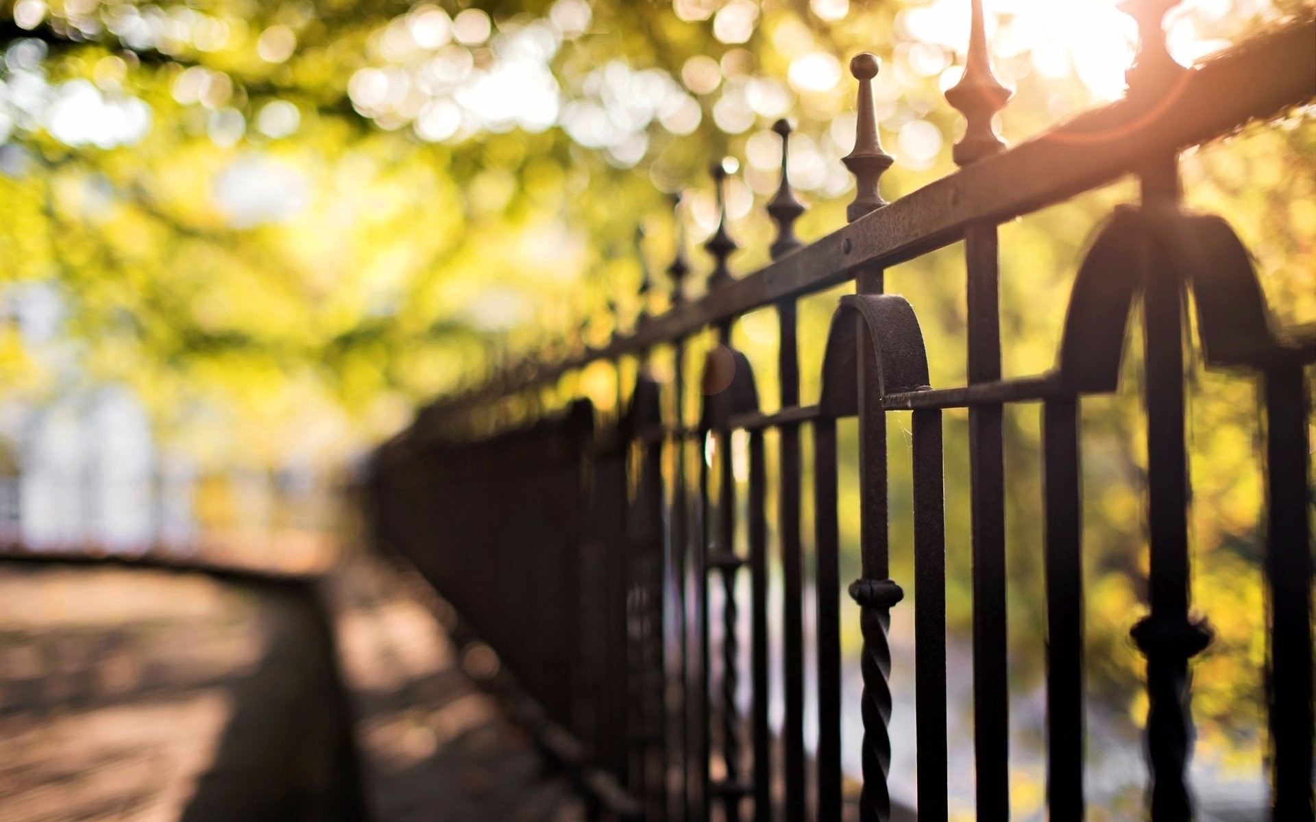 nature, Photography, Macro, Sunlight, Fence, Leaves, Blurred, Road, Bokeh, Lights Wallpaper