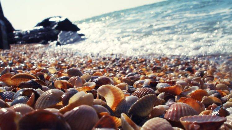 seashell, Rocks, Blurred, Macro, Sea, Beach HD Wallpaper Desktop Background