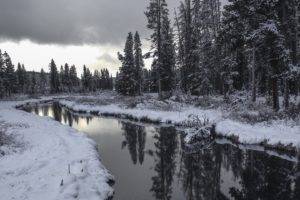 Yellowstone National Park, USA, Winter, River, Trees, Forest, Reflection