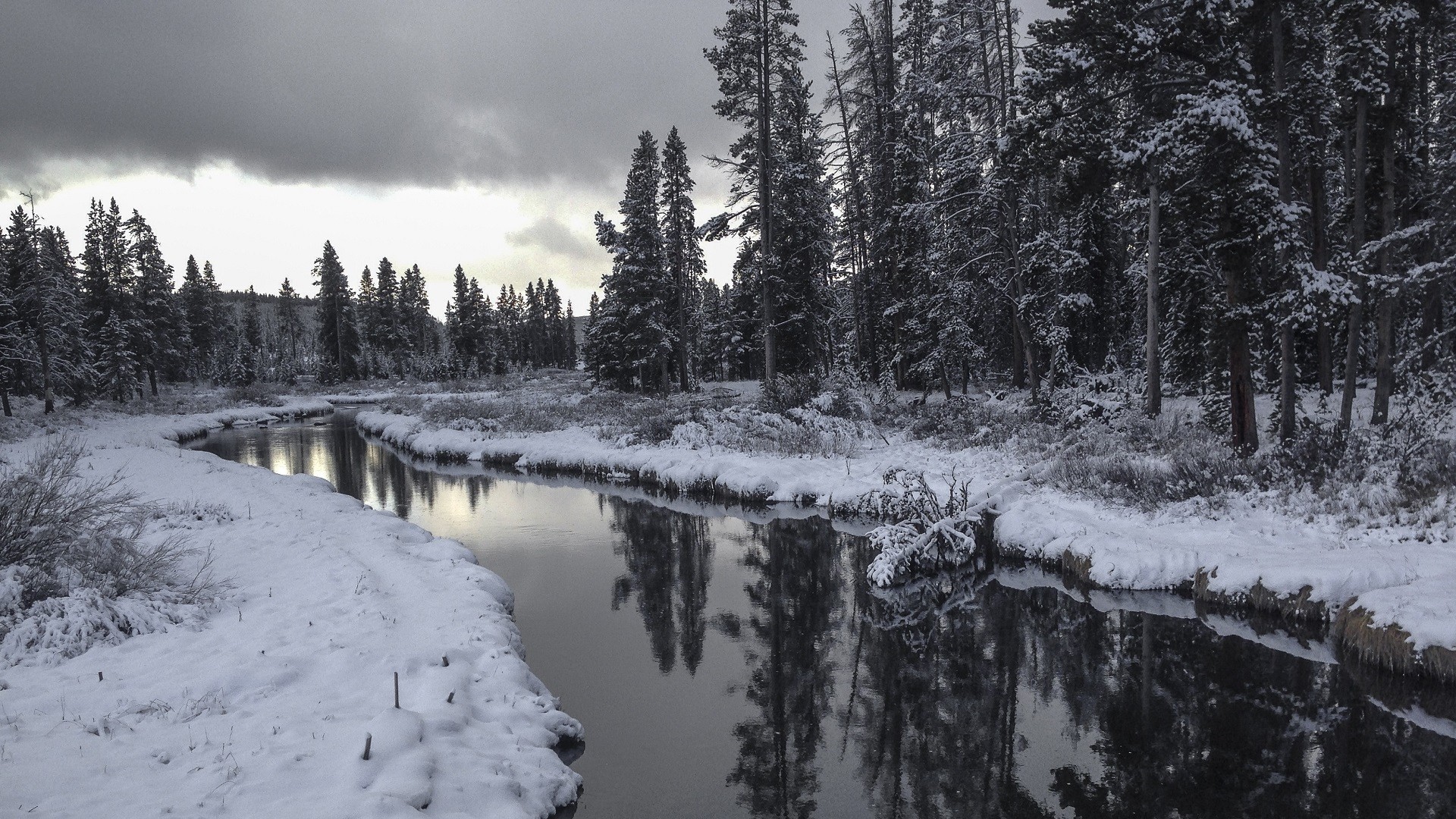 Yellowstone National Park, USA, Winter, River, Trees, Forest, Reflection Wallpaper