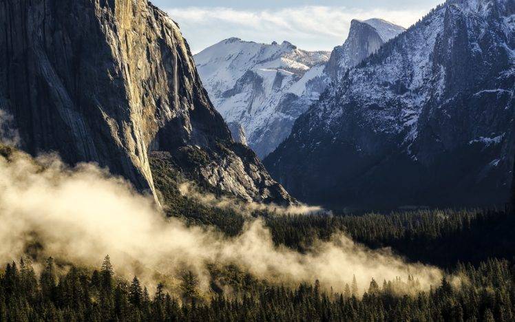 mountains, Mist, Forest, Morning HD Wallpaper Desktop Background