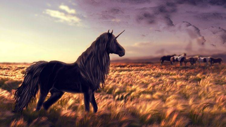 unicorns, Black, Horse HD Wallpaper Desktop Background