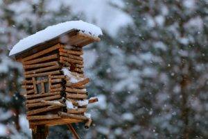 wood, Birdhouses, Winter