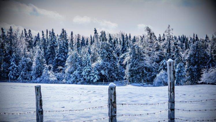 winter, Snow, Nature, Trees, Fence HD Wallpaper Desktop Background