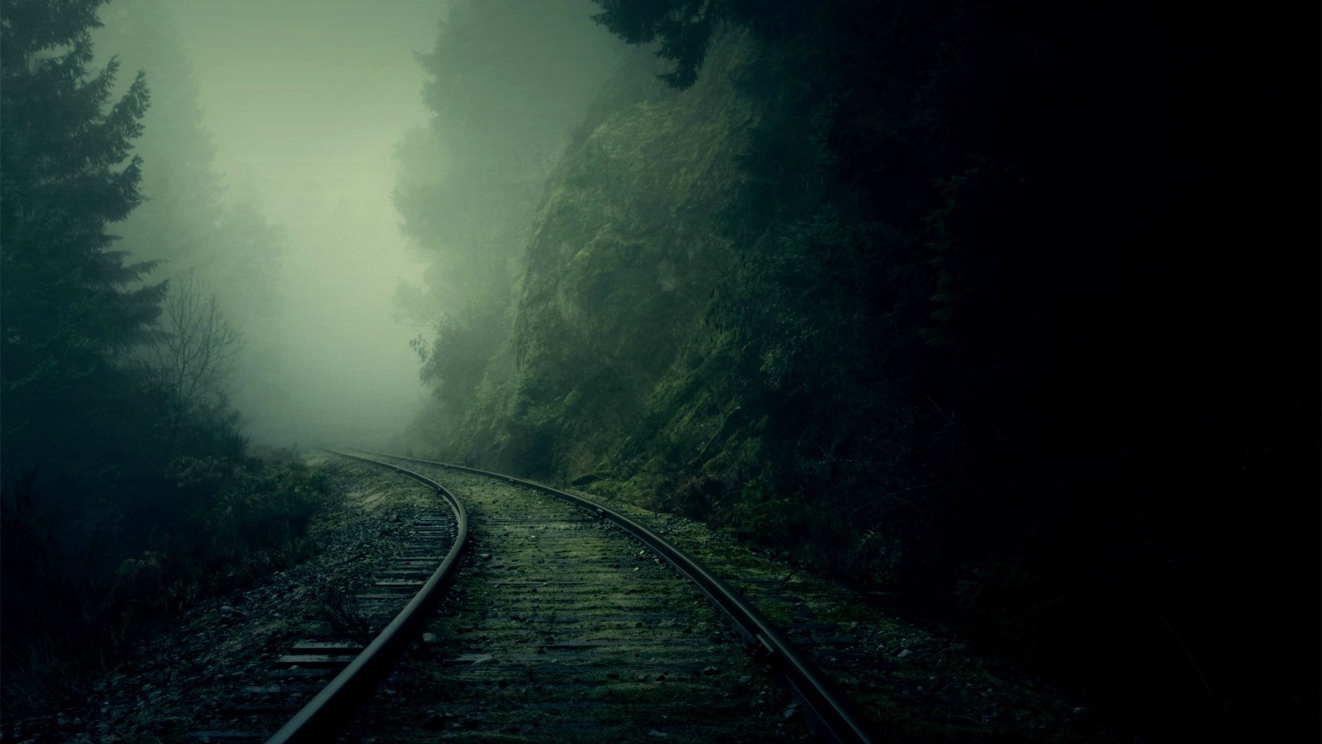 mist, Nature, Trees, Forest, Railway Wallpaper