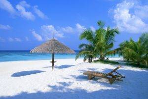 nature, Beach, Palm trees, Chair, Clouds, Sea, Horizon