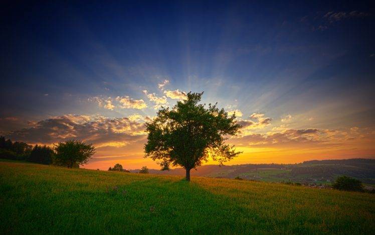 nature, Trees, Sunset, Sky HD Wallpaper Desktop Background