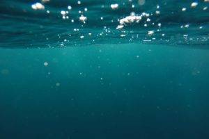 nature, Sea, Underwater