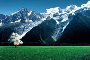 nature, Landscape, Trees, Switzerland, Alps, Swiss Alps, Field, Mountains, Snowy peak, Grass, Forest, Blossoms