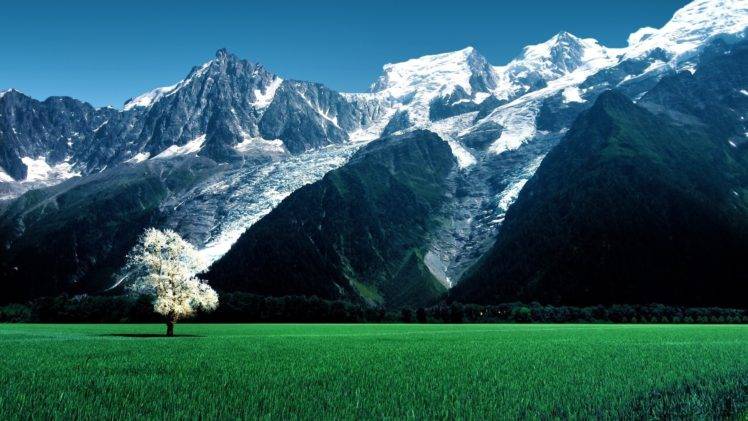 nature, Landscape, Trees, Switzerland, Alps, Swiss Alps, Field, Mountains, Snowy peak, Grass, Forest, Blossoms HD Wallpaper Desktop Background