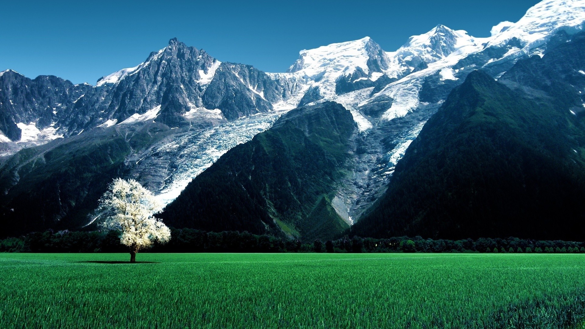 nature, Landscape, Trees, Switzerland, Alps, Swiss Alps, Field, Mountains, Snowy peak, Grass, Forest, Blossoms Wallpaper