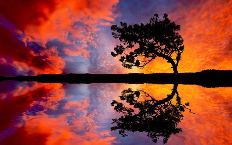 nature, Landscape, Trees, Reflection HD Wallpaper Desktop Background