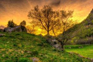 nature, Landscape, Trees, Sunset, HDR, Grass