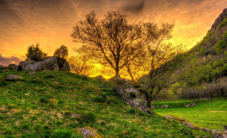nature, Landscape, Trees, Sunset, HDR, Grass HD Wallpaper Desktop Background