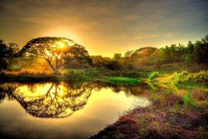 nature, Landscape, Trees, Sunset, Reflection