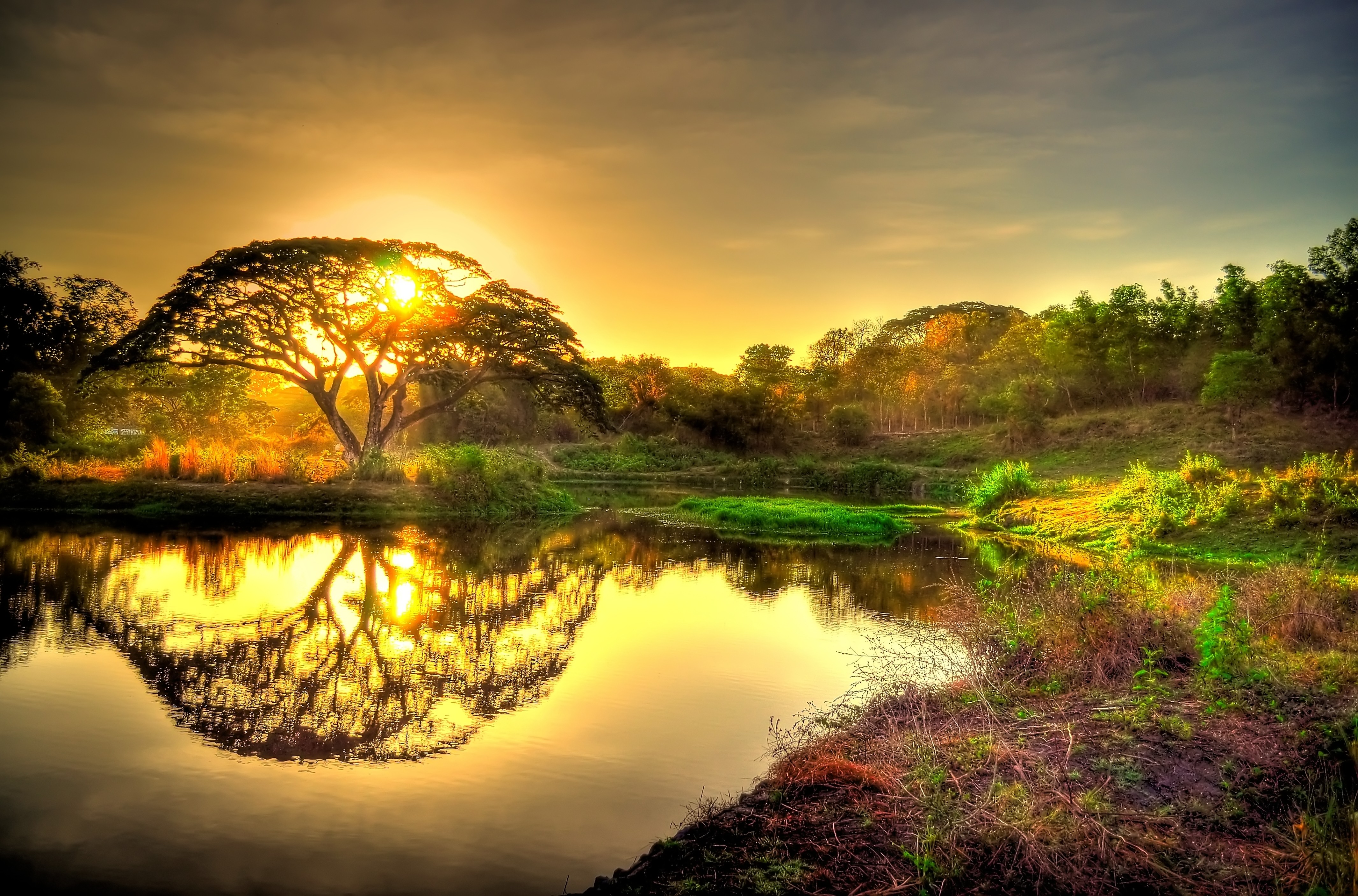 nature, Landscape, Trees, Sunset, Reflection Wallpaper