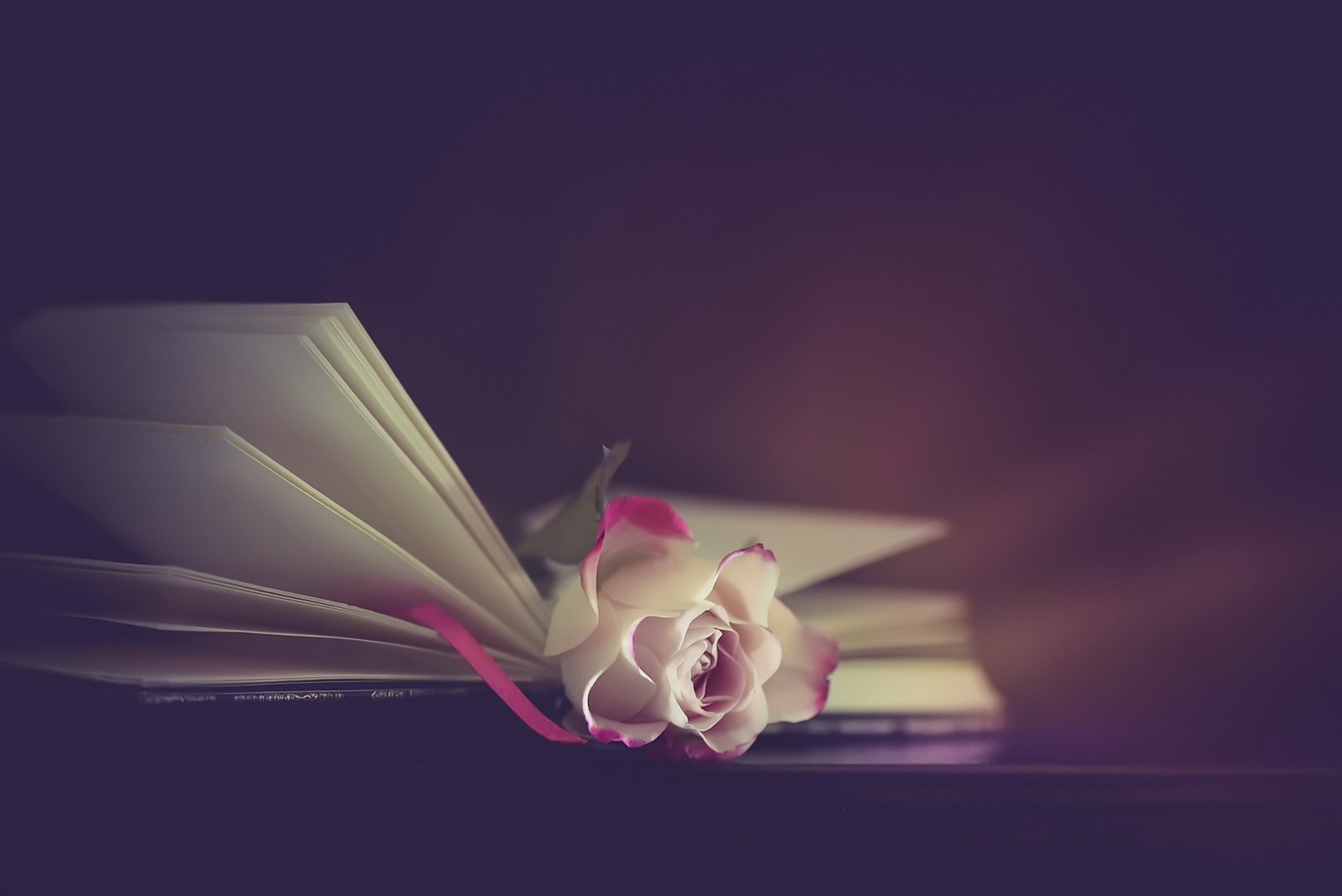 rose, Flowers, Books Wallpaper