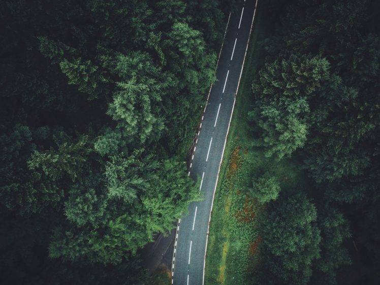trees, Aerial view, Forest, Road HD Wallpaper Desktop Background