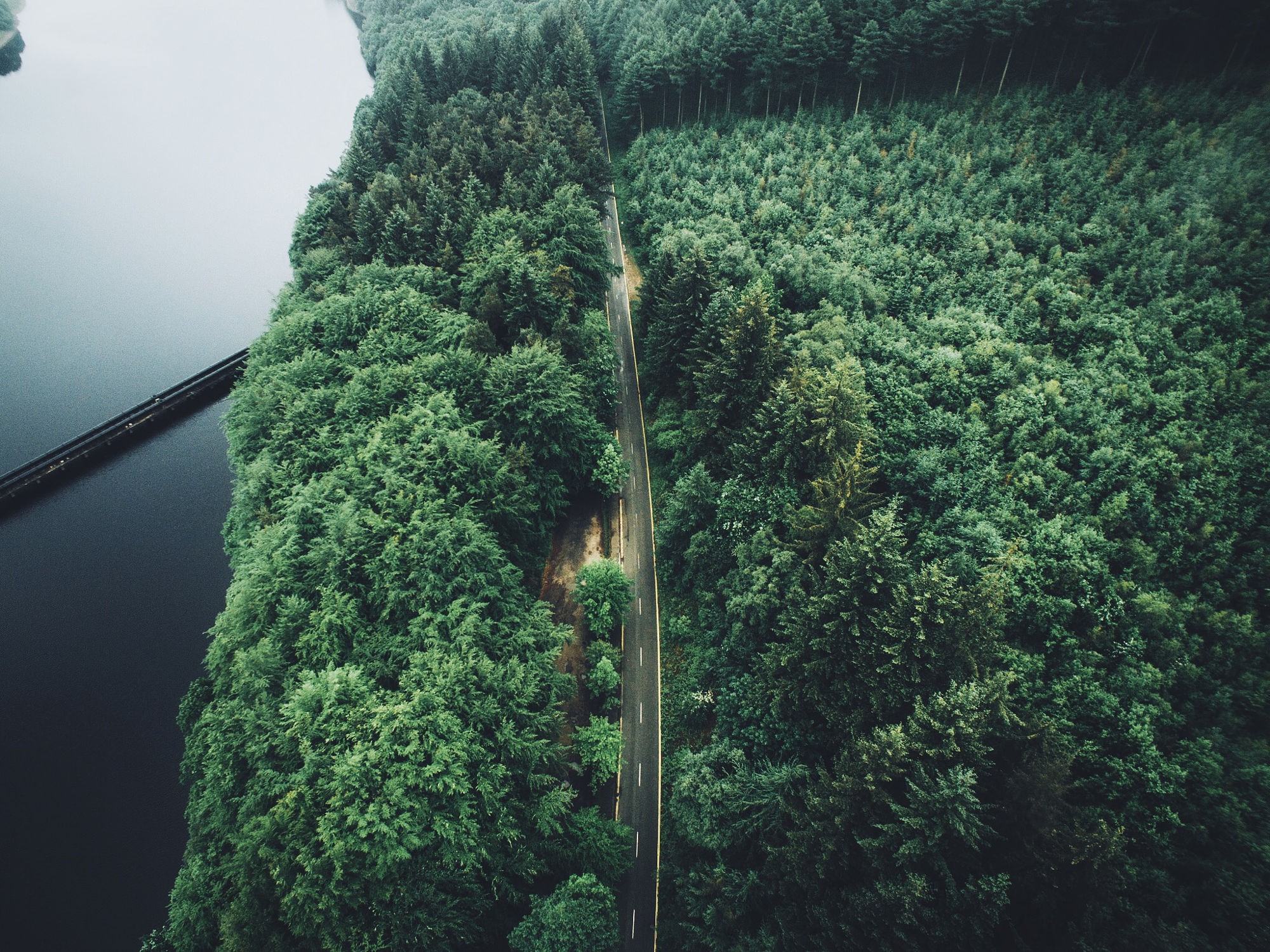 trees, Aerial view, Forest, Road Wallpaper