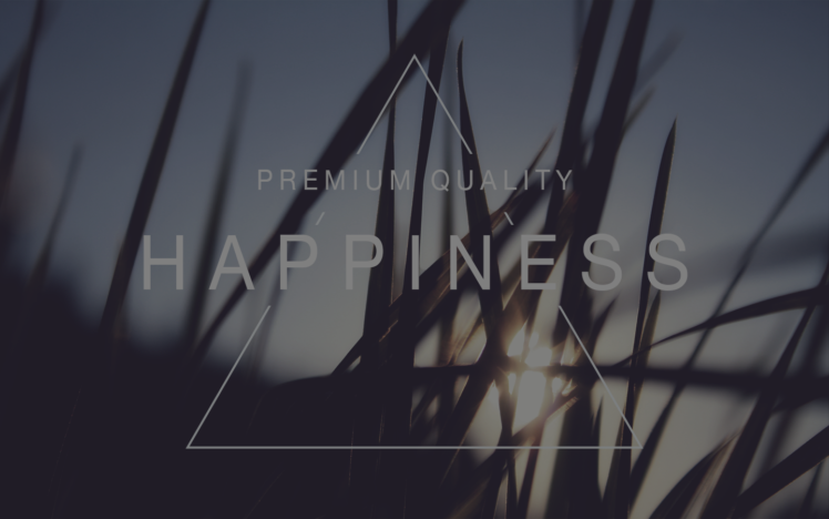 happiness, Hipster Photography, Grass, Photoshop, Sunset HD Wallpaper Desktop Background