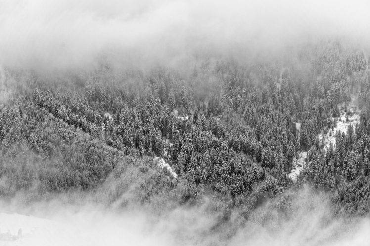 landscape, White, Nature, Trees, Snow HD Wallpaper Desktop Background