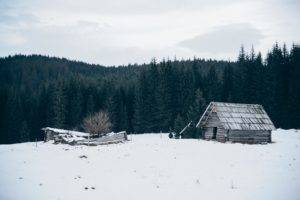 nature, House, Trees, Snow, Forest, Abandoned
